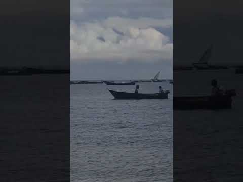 #neyba #music #salima