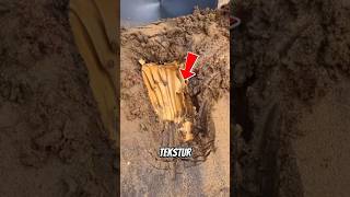 Download lagu don't tell anyone ❗ if you find mud like this😱🤑💲❗❗❗ #shorts #viralshort mp3