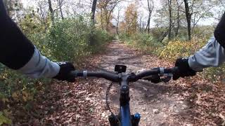 Gnat Catcher - Saw Wee Kee Park - Mountain Bike Trails