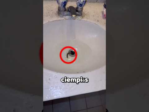 ¡El ciempiés no se iba! 😱 🐛 #shorts