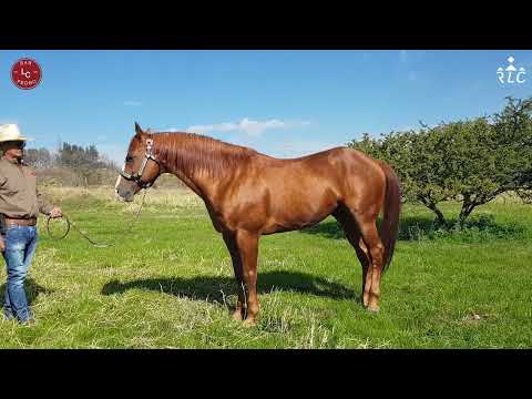 Visit to San Pedro Ranch 2022 - Part 1