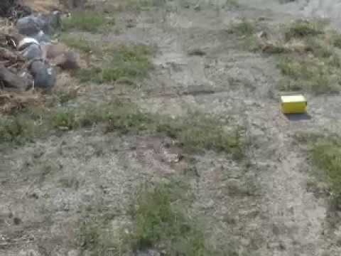 1784 Geologia a Pavone del Mella con Marco Melli Geologo