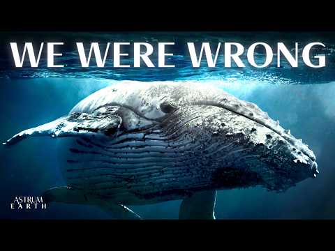Scientists Have Found Something Strange Inside Every Whale on Earth