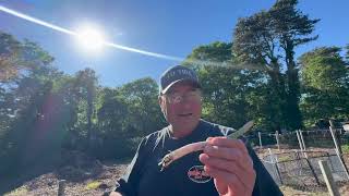 Live From Cape Cod Rivers & Farms ~ Making The Call For New England Weekend Weather ~ Looking Good
