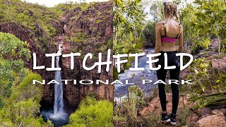 The BEST Day Trip from Darwin! 🦘 (Australia's Litchfield National Park!)