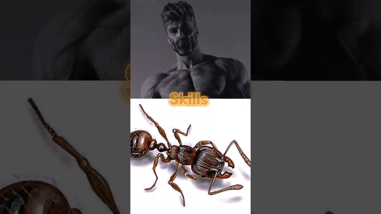 Men Vs Ants #shorts #battle #edit #insects