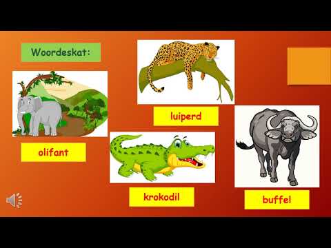 Kw 3 Week 7 Wilde diere PP