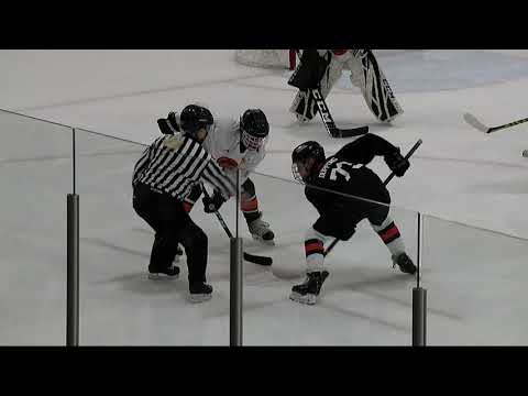 "Wild Youth Hockey Spotlight Game" Delano vs St. Louis Park Boys Hockey Peewee B1 Jan  19, 2022