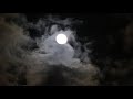 Lavender Moonlight