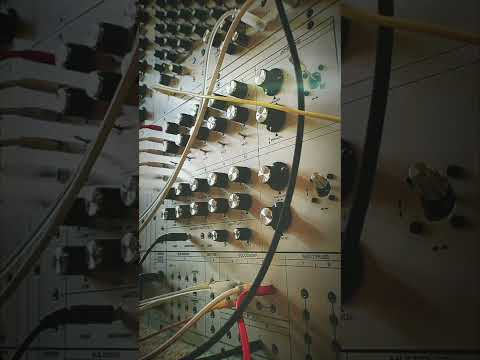 Analogue Solutions Colossus Slim Sequence with Spring Reverb #Shorts
