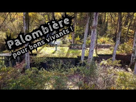 Palombière pour bons vivants - Gueuleton
