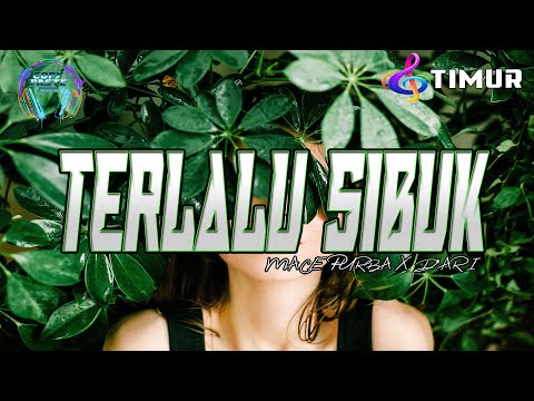 MACE PURBA X D'ARI - TERLALU SIBUK