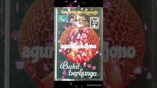 Download lagu Bukit Berbunga - Arie Koesmiran feat Fariz RM (Album Kesayangan Rwmaja 17 th 81-82) mp3