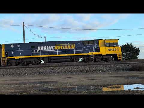 Pacific National NR39 NR7 NR64 3MC2 train Tottenham