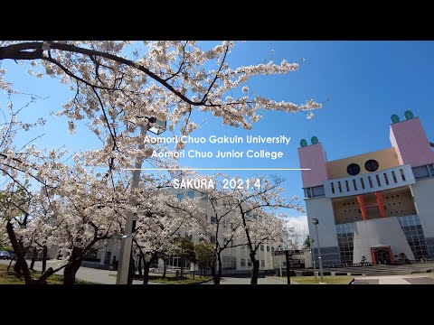 看護学科 2021年：青森中央学院大学・青森中央短期大学キャンパスの桜