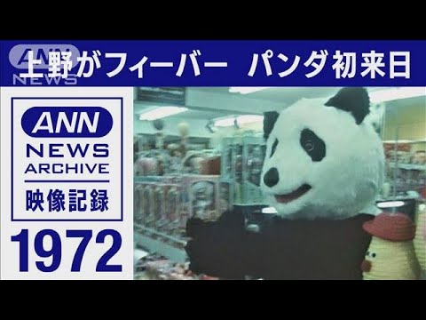カンカン・ランラン来日のニュース映像のサムネイル