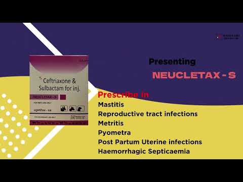 Ceftriaxone Sulbactam for Veterinary (Neucletax-S 4.5gm)
