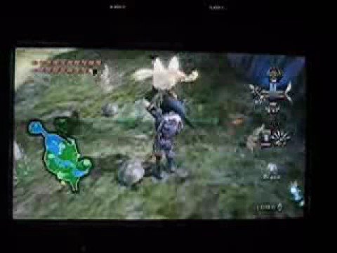 TLOZ TP: Cloose to a huge oob in Ordon Village