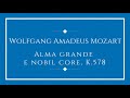 Wolfgang Amadeus Mozart - Alma grande e nobil core, K.578