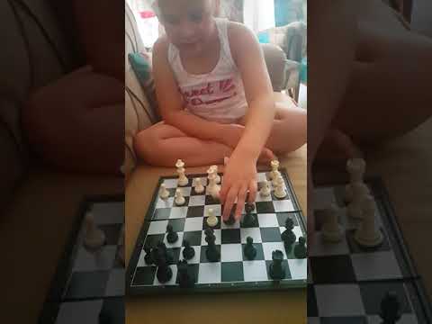 Vajda, Levente /Giymesi, Zoltan 1998