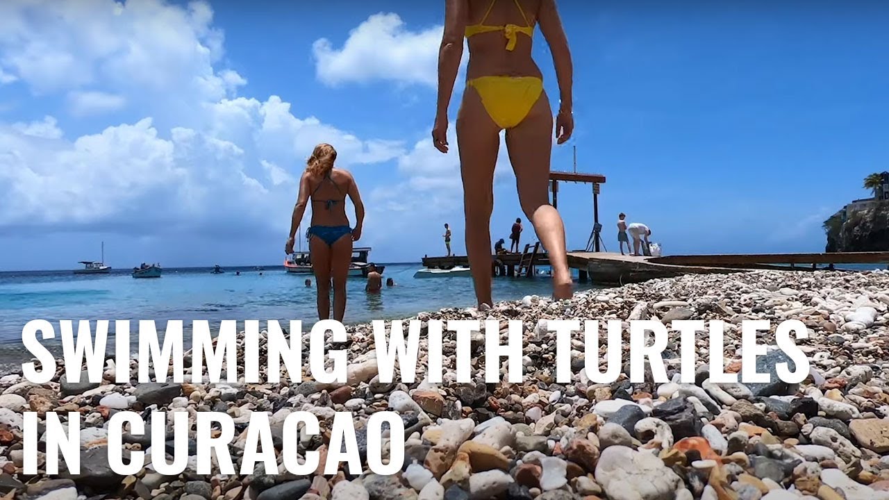 Caribbean Dream: Swimming with Turtles in crystal clear water - UNTIE THE LINES IV #68