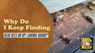 Why Do I Keep Finding Dead Bees On My Landing Board?