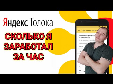 СКОЛЬКО Я ЗАРАБОТАЛ ЗА ЧАС В ЯНДЕКС ТОЛОКА. РЕАЛЬНЫЙ ЭКСПЕРИМЕНТ