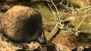 La casa chica pero corazon grande Los Peques