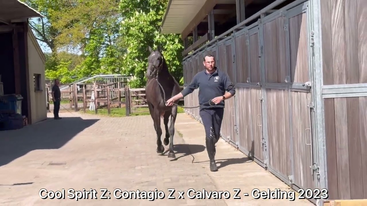 Cool Spirit Z (CONTAGIO x CARLVARO Z) video 1