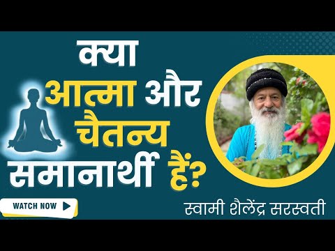 क्या आत्मा और चैतन्य समानार्थी हैं?