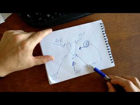 DERIVAZIONI CARDIACHE SPIEGATE DA DIO