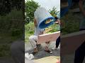Jhandi Munda Shorts Viralvideo Dice