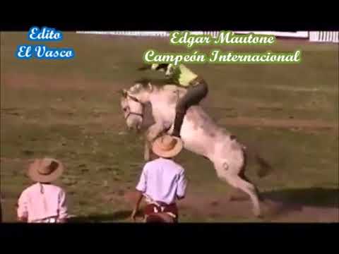 26547913 141825736497474 8830637822126850048 n