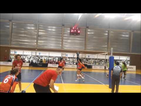 IBSA 7 Palmas   Elche