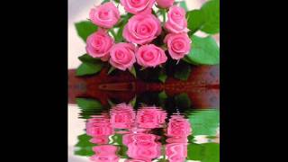 Babel Fish Out of the Blue.mp4