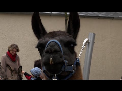 Endlich Wochenende 17.12.2021