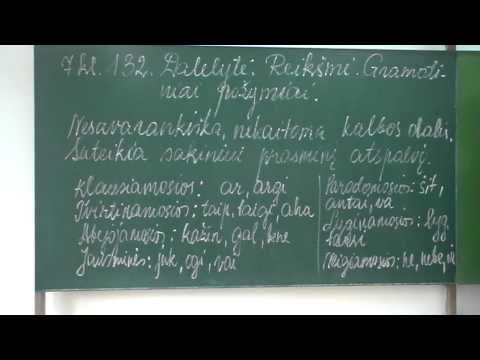 132  Dalelytė  Reikšmė, gramatiniai požymiai