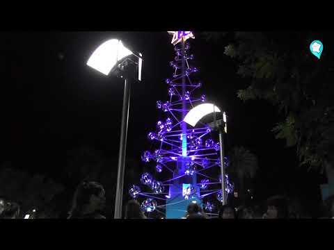 🎄 Se encendió el Arbolito Navideño 2020 en la Plaza Dardo Rocha
