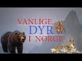Norsk språk - Dyr 