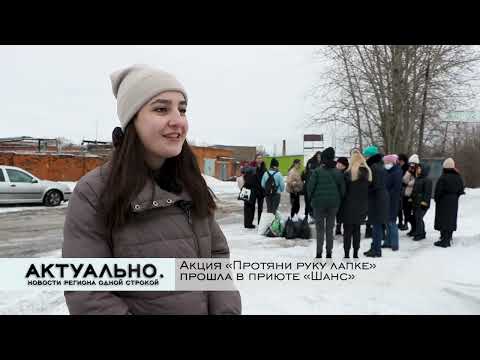 Актуально Псков / 23.02.2022