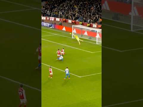 RIDICULOUSLY GOOD DAVID RAYA SAVE!