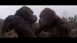 09. Honeymoon Ridge (King Kong Lives 1986) Soundtrack