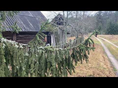 Partizanų dainos - Vosilkos (Live record, Rudnelės kaimas, Lietuva 2020) #laisveskovudainos