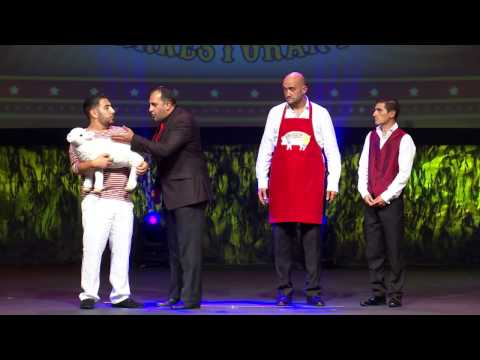 Circus Demq Soleil - Restaurant Health Inspector (DEMQ SHOW)