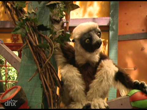 Zoboomafoo 116 - Coceira (Em Português)