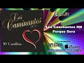 Los Caminantes HN 10 Super Cumbias Disco Completo