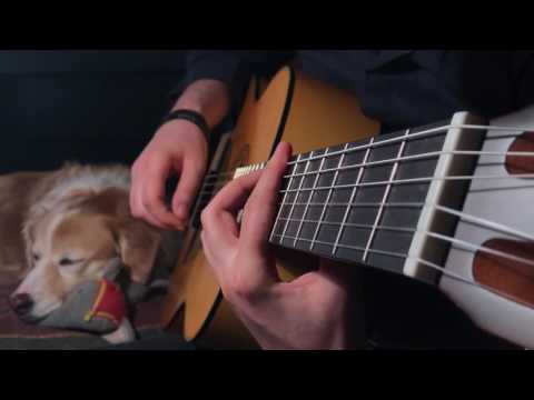 The Last Of Us Fingerstyle Guitar Main Theme