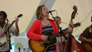 #688  Tiger Maple String Band - 