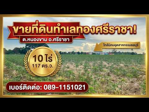 ขายที่ดินศักยภาพสูง โซน EEC ศรีราชา -หนองขาม ใกล้นิคมปิ่นทอง/แหลมฉบัง, ชลบุรี, หนองขาม, ศรีราชา, ชลบุรี, 16,468 ตร.ม., ที่ดิน ขาย, โดย มงคล พูลทรัพย์, 500334806 - DDproperty.com
