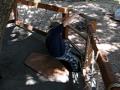 Cole S Treehouse